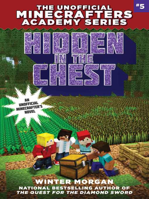 Cover image for Hidden in the Chest